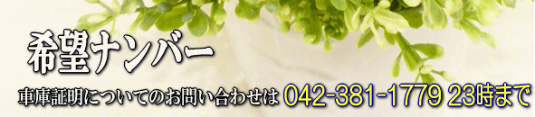 希望ナンバー